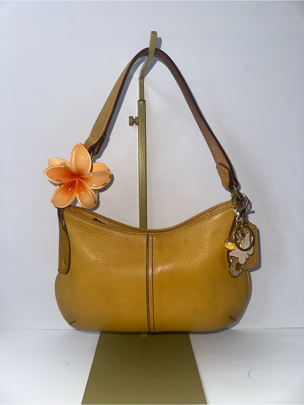 Coach Leather Hobo Bag in Yellow & Brown
